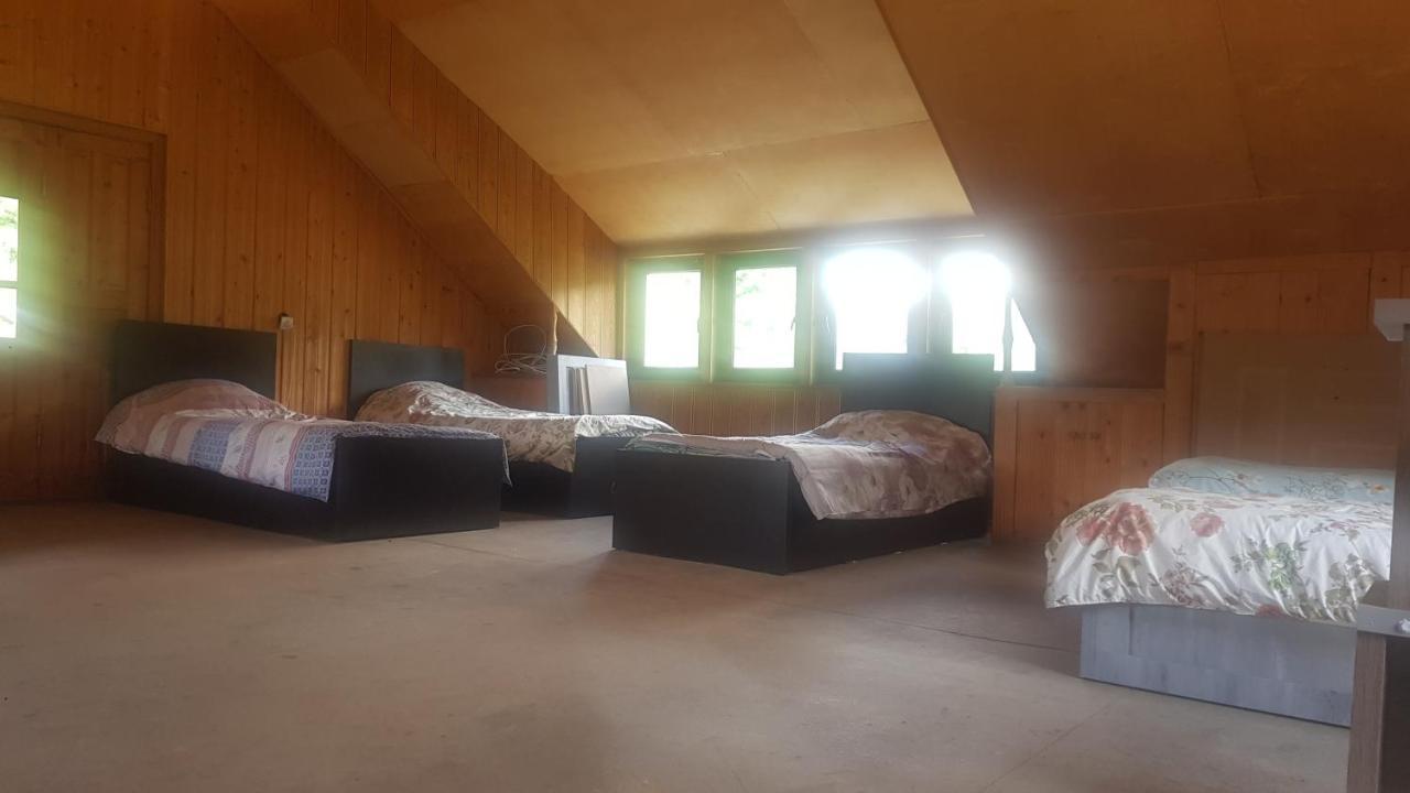 Hostel The Misty Mountains Mestia Ngoại thất bức ảnh