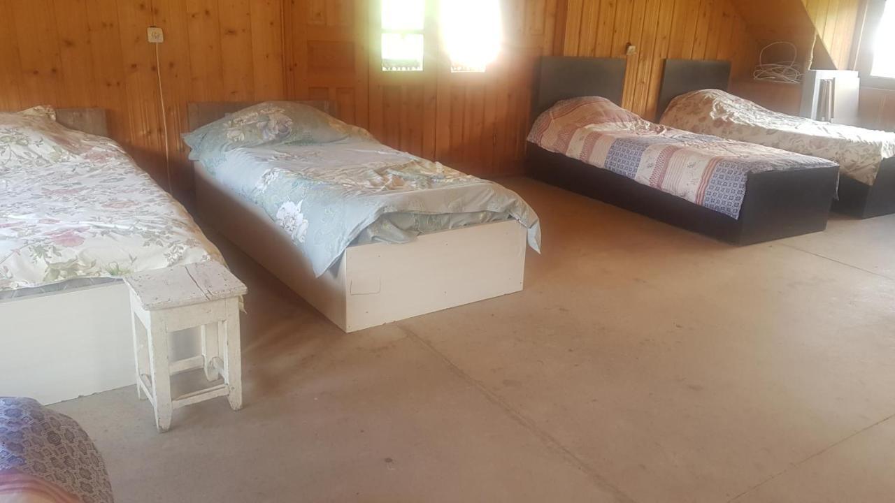 Hostel The Misty Mountains Mestia Ngoại thất bức ảnh