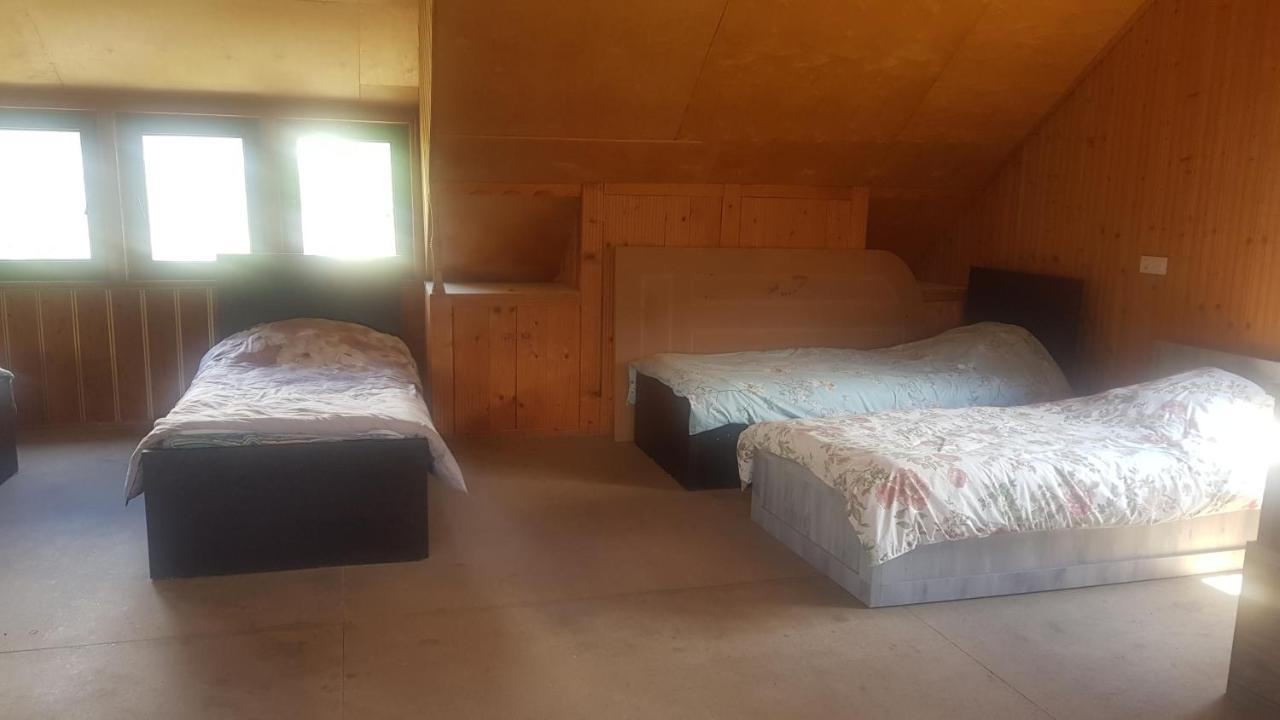 Hostel The Misty Mountains Mestia Ngoại thất bức ảnh