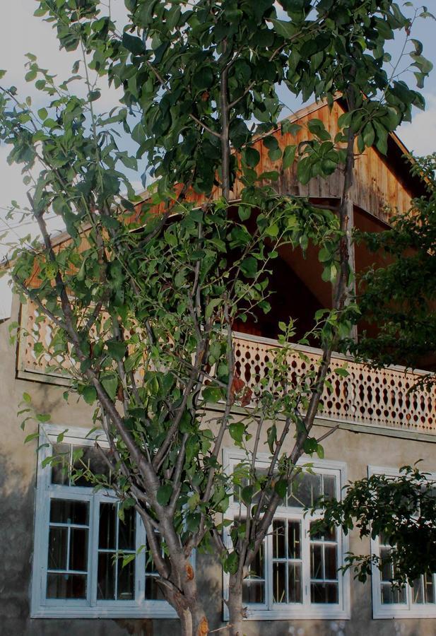 Hostel The Misty Mountains Mestia Ngoại thất bức ảnh